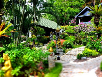 Thailand, Phuket, Boomerang Village Resort